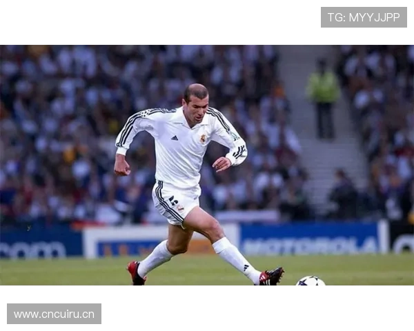 齐达内职业高光