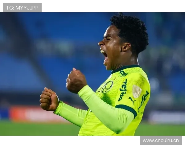 恩德里克爆发赛季表现解析：帕尔梅拉斯惊艳数据与战术角色