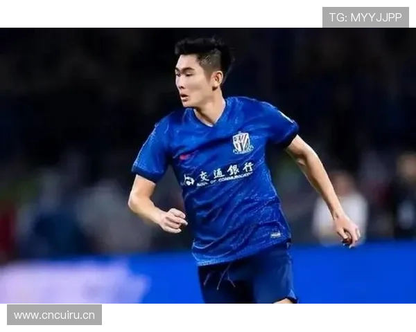 申花一人驱动进攻模式，选择匮乏问题影响球队战术丰富性与整体表现走势